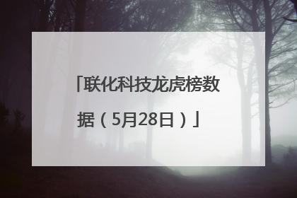 联化科技龙虎榜数据（5月28日）