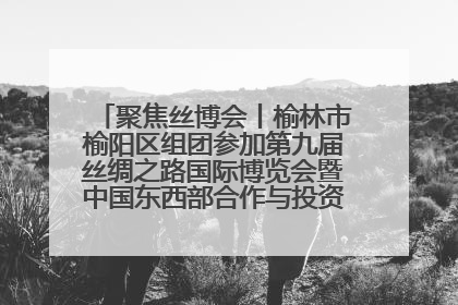 聚焦丝博会丨榆林市榆阳区组团参加第九届丝绸之路国际博览会暨中国东西部合作与投资贸易洽谈会