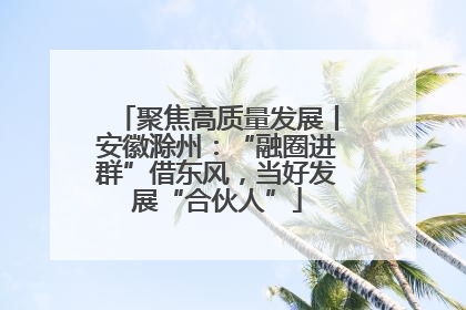 聚焦高质量发展丨安徽滁州：“融圈进群”借东风，当好发展“合伙人”
