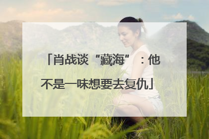 肖战谈“藏海”：他不是一味想要去复仇
