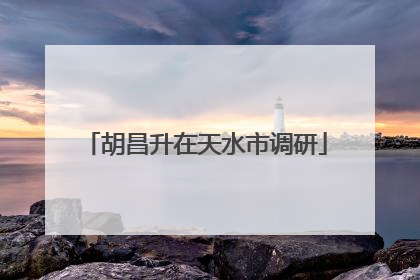 胡昌升在天水市调研