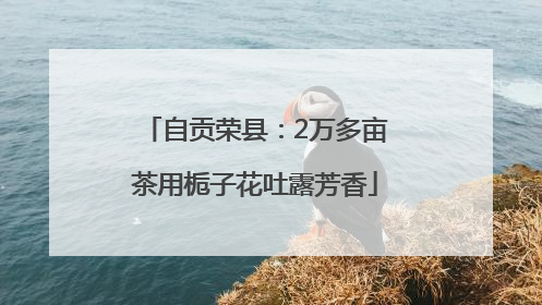 自贡荣县：2万多亩茶用栀子花吐露芳香