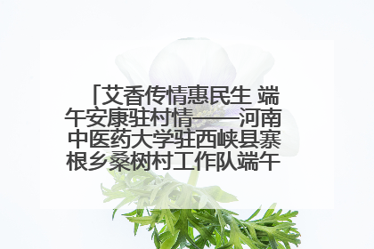 艾香传情惠民生 端午安康驻村情——河南中医药大学驻西峡县寨根乡桑树村工作队端午中医惠民记