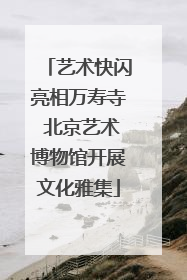 艺术快闪亮相万寿寺 北京艺术博物馆开展文化雅集