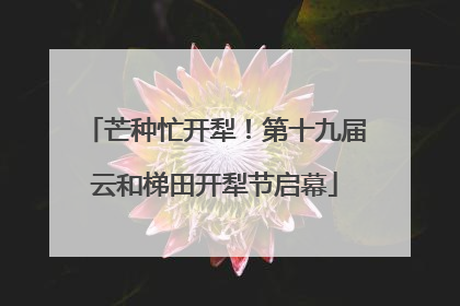 芒种忙开犁！第十九届云和梯田开犁节启幕