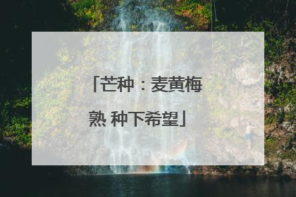 芒种：麦黄梅熟 种下希望