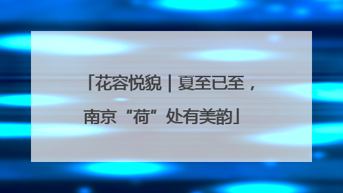 花容悦貌｜夏至已至，南京“荷”处有美韵