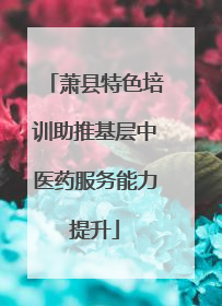 萧县特色培训助推基层中医药服务能力提升