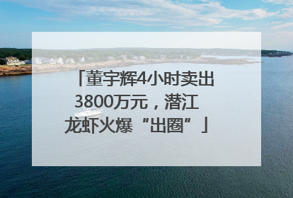 董宇辉4小时卖出3800万元，潜江龙虾火爆“出圈”