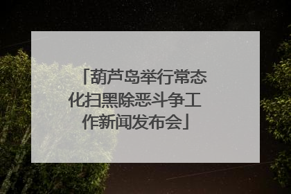 葫芦岛举行常态化扫黑除恶斗争工作新闻发布会