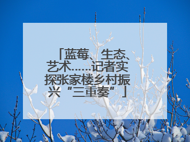 蓝莓、生态、艺术……记者实探张家楼乡村振兴“三重奏”