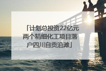 计划总投资22亿元 两个精细化工项目落户四川自贡沿滩