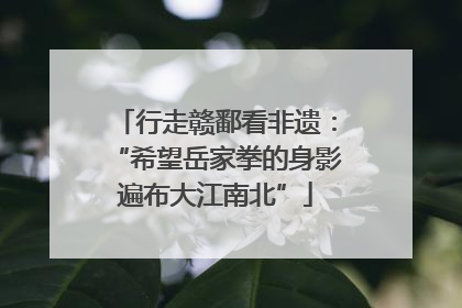 行走赣鄱看非遗：“希望岳家拳的身影遍布大江南北”
