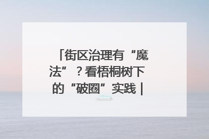 街区治理有“魔法”？看梧桐树下的“破圈”实践｜我在街区当书记