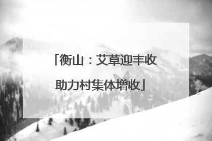 衡山：艾草迎丰收 助力村集体增收