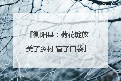 衡阳县：荷花绽放 美了乡村 富了口袋