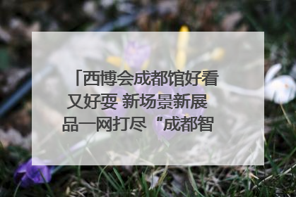 西博会成都馆好看又好耍 新场景新展品一网打尽“成都智造”｜西博视界