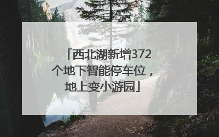 西北湖新增372个地下智能停车位，地上变小游园