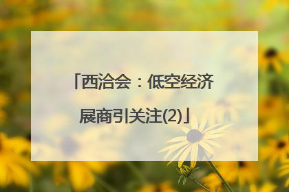 西洽会：低空经济展商引关注(2)