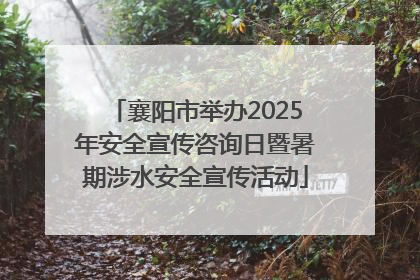 襄阳市举办2025年安全宣传咨询日暨暑期涉水安全宣传活动