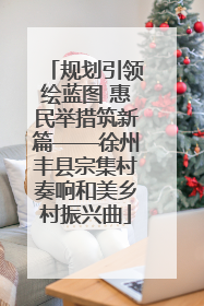 规划引领绘蓝图 惠民举措筑新篇——徐州丰县宗集村奏响和美乡村振兴曲