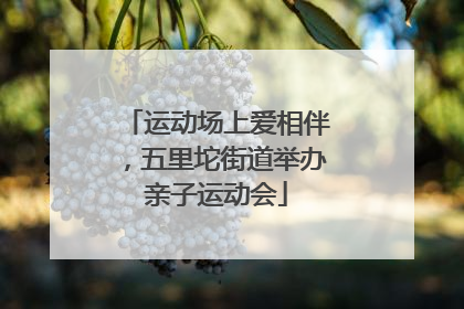 运动场上爱相伴，五里坨街道举办亲子运动会