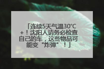 连续5天气温30℃+！沈阳人请务必检查自己的车，这些物品可能变“炸弹”！