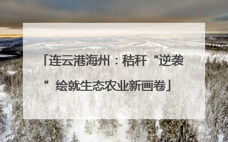连云港海州：秸秆“逆袭”绘就生态农业新画卷