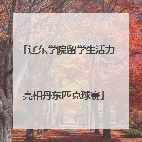 辽东学院留学生活力亮相丹东匹克球赛