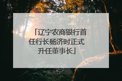 辽宁农商银行首任行长杨济时正式升任董事长