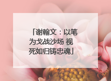 谢翰文：以笔为戈战沙场 视死如归铸忠魂