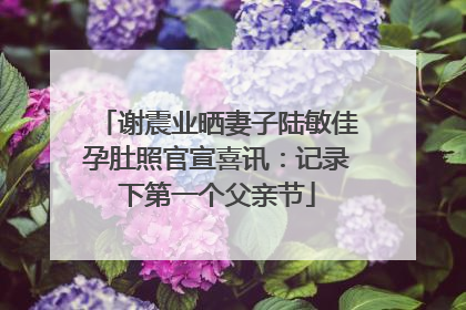 谢震业晒妻子陆敏佳孕肚照官宣喜讯：记录下第一个父亲节