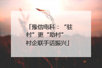 豫信电科：“驻村”更“助村” 村企联手话振兴