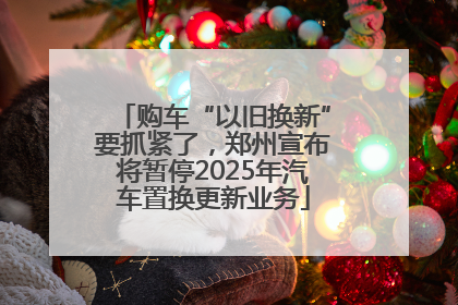 购车“以旧换新”要抓紧了，郑州宣布将暂停2025年汽车置换更新业务