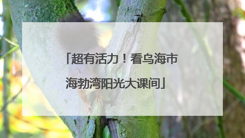 超有活力！看乌海市海勃湾阳光大课间