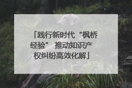 践行新时代“枫桥经验” 推动知识产权纠纷高效化解