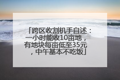 跨区收割机手自述：一小时能收10亩地，有地块每亩低至35元，中午基本不吃饭