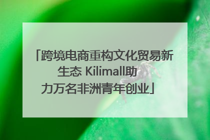跨境电商重构文化贸易新生态 Kilimall助力万名非洲青年创业