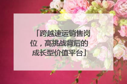 跨越速运销售岗位，高挑战背后的成长型价值平台