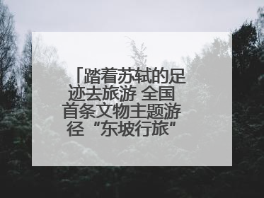 踏着苏轼的足迹去旅游 全国首条文物主题游径“东坡行旅”首期建设上新