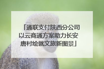 通联支付陕西分公司以云商通方案助力长安唐村绘就文旅新图景