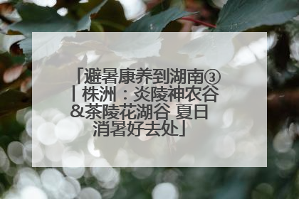 避暑康养到湖南③丨株洲：炎陵神农谷&茶陵花湖谷 夏日消暑好去处