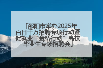 邵阳市举办2025年百日千万招聘专项行动暨促就业“金桥行动”高校毕业生专场招聘会