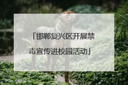 邯郸复兴区开展禁毒宣传进校园活动