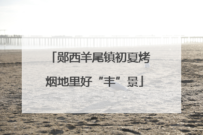 郧西羊尾镇初夏烤烟地里好“丰”景