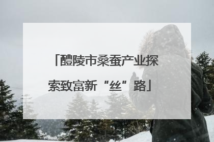 醴陵市桑蚕产业探索致富新“丝”路