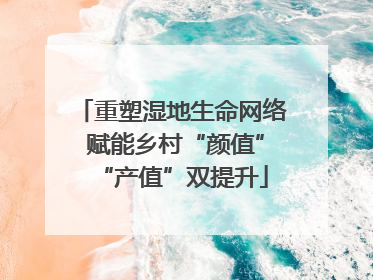 重塑湿地生命网络 赋能乡村“颜值”“产值”双提升