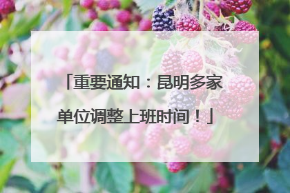 重要通知：昆明多家单位调整上班时间！