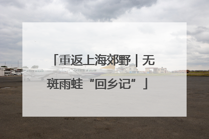 重返上海郊野｜无斑雨蛙“回乡记”