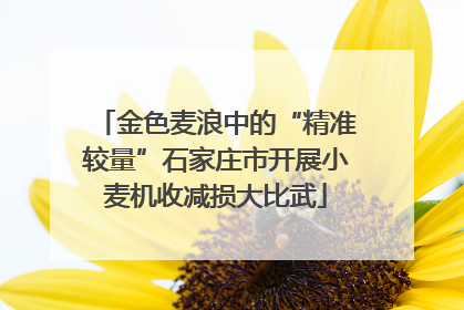 金色麦浪中的“精准较量”石家庄市开展小麦机收减损大比武